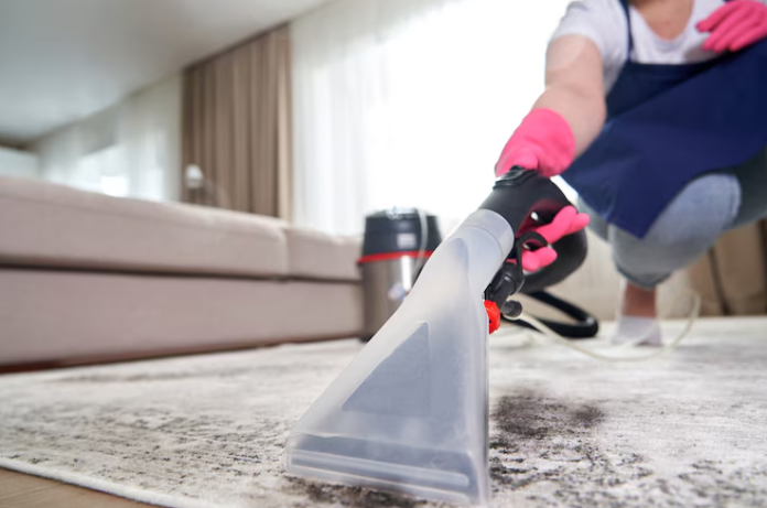 carpet cleaning services prices