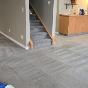 Carpet Cleaning