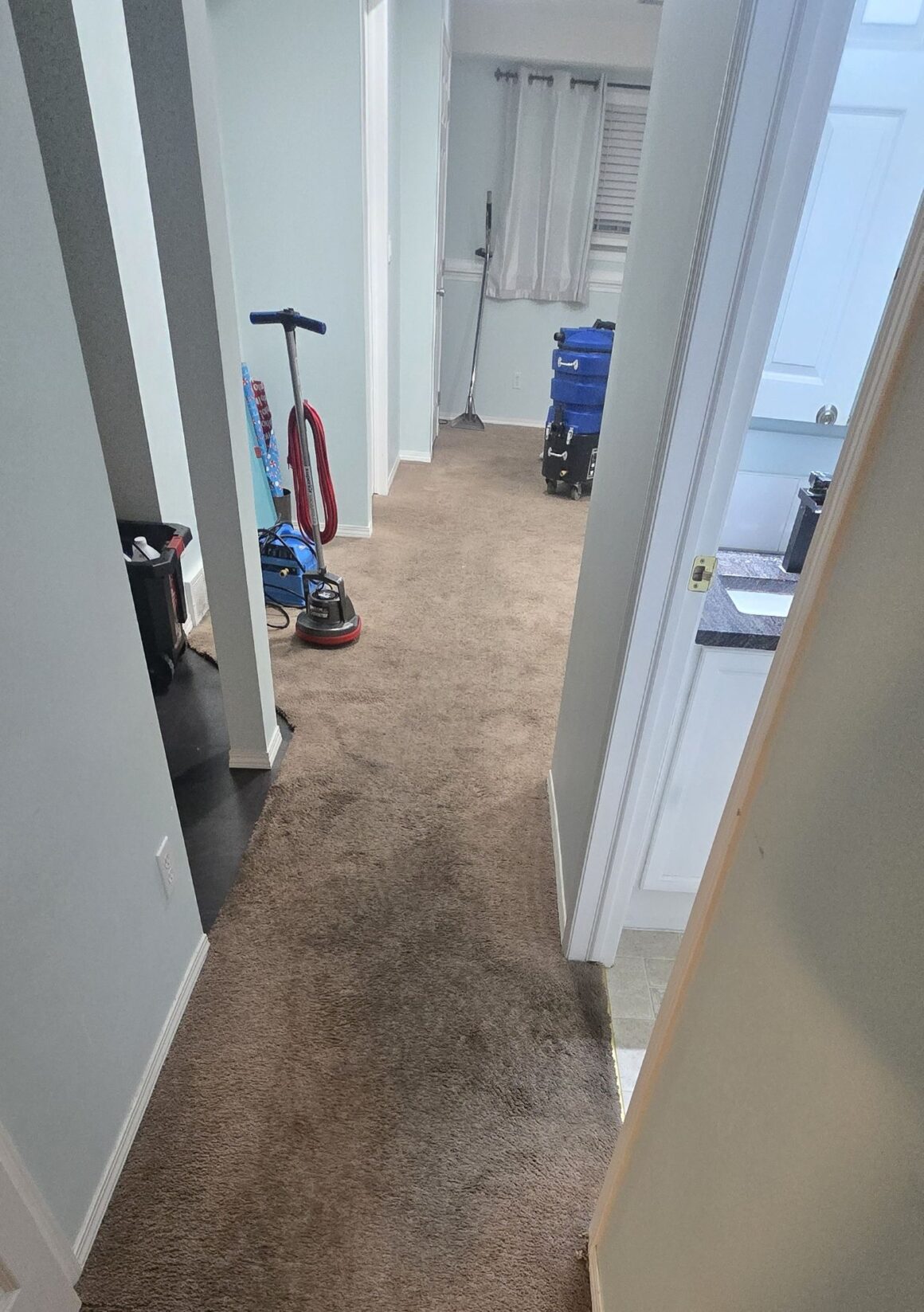 Move-In and Move-Out Cleaning Services Near Me: How They Work and Why You Need Them