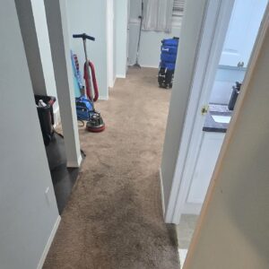 Move in Move out comprehensive-guide Move-In and Move-Out Cleaning Services Near Me: How They Work and Why You Need Them