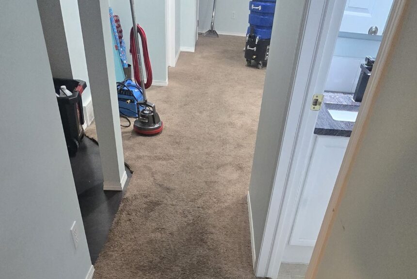 Move-In and Move-Out Cleaning Services Near Me: How They Work and Why You Need Them