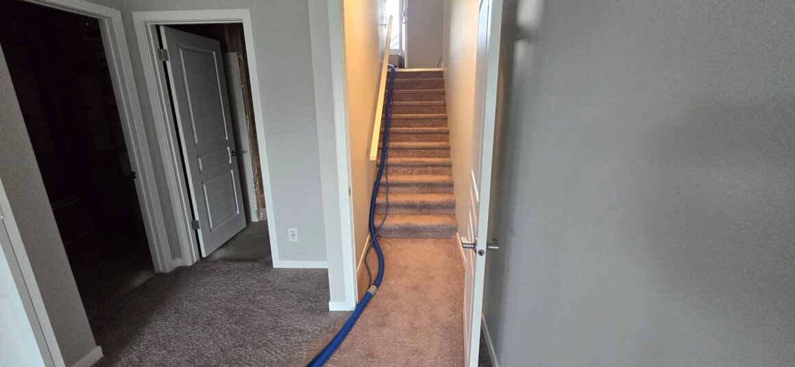 Carpet cleaning 4 Carpet Cleaning Services in Calgary: A Comprehensive Guide