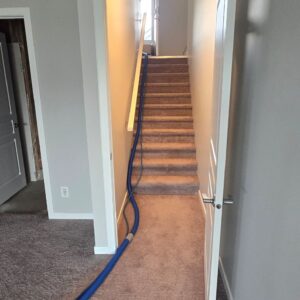Carpet Cleaning Services in Calgary: A Comprehensive Guide