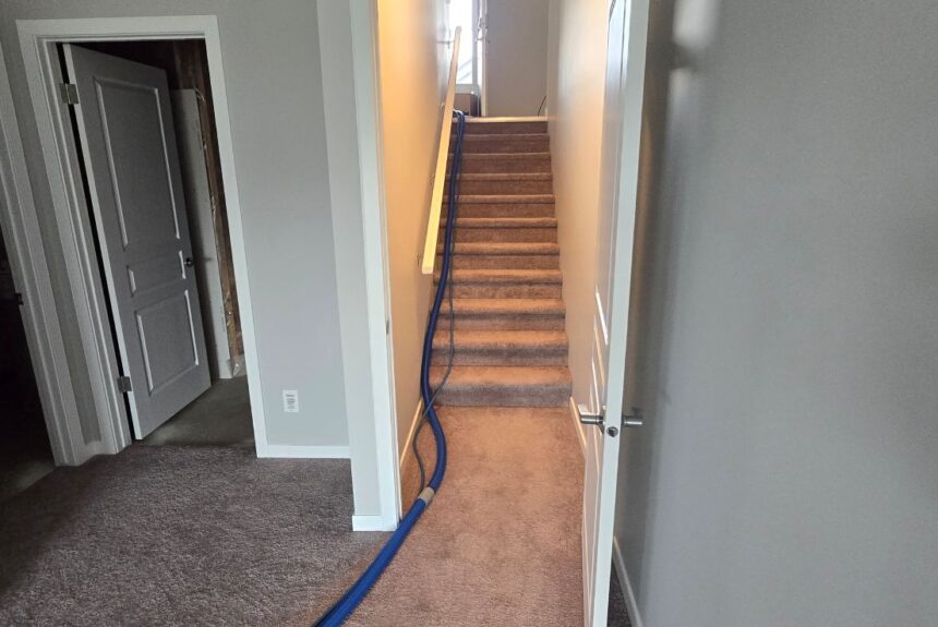 Carpet cleaning 4 Carpet Cleaning Services in Calgary: A Comprehensive Guide