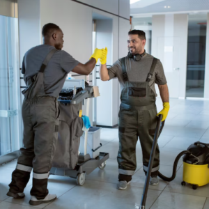 move in and out cleaning services